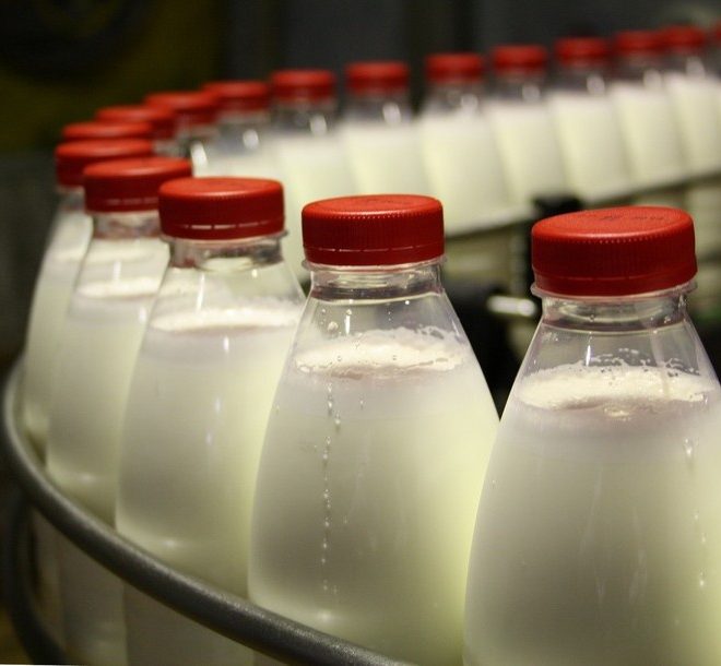 Bir qancha viloyatlarda aholidan sut yig‘adigan 100 ta punkt tashkil etiladi