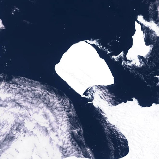 Dunyodagi eng katta aysberg o‘z maydonining yana 7 foizidan ayrildi