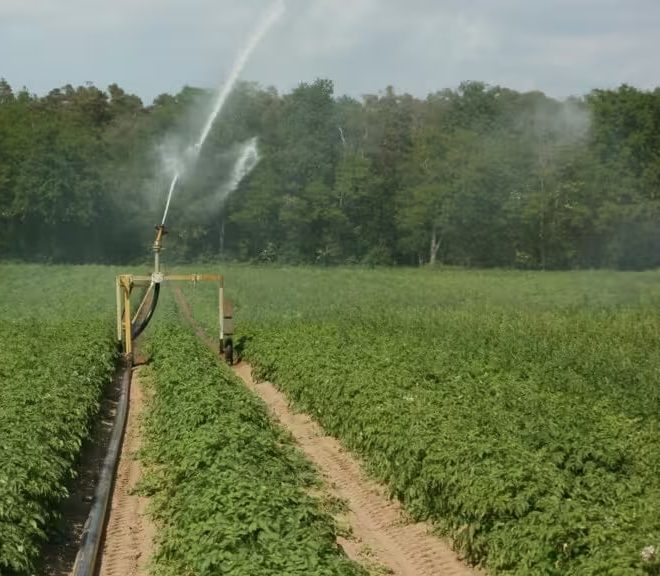 O‘zbekiston sug‘orish tizimlarini yangilash uchun 250 mln dollar qarz oladi