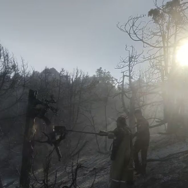 Boysunda o‘rmon yong‘ini 13 soatda o‘chirildi