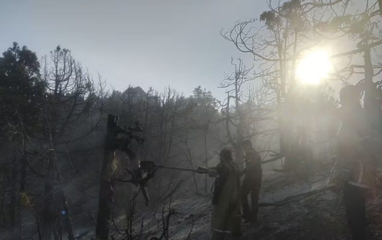 Boysunda o‘rmon yong‘ini 13 soatda o‘chirildi