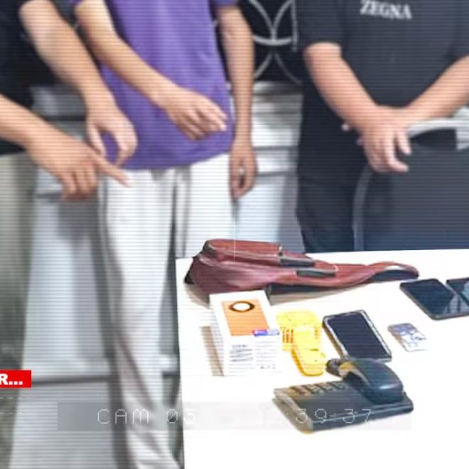 Chinozdagi dehqon bozorida o‘g‘rilik sodir etgan shaxslar ushlandi