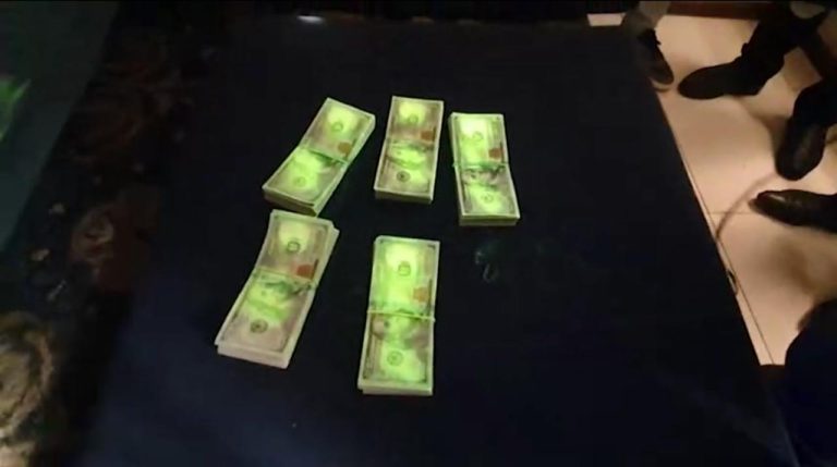 Toshkent viloyatida 4 gektar yerni 300 ming dollarga sotmoqchi bo‘lgan shaxslar ushlandi