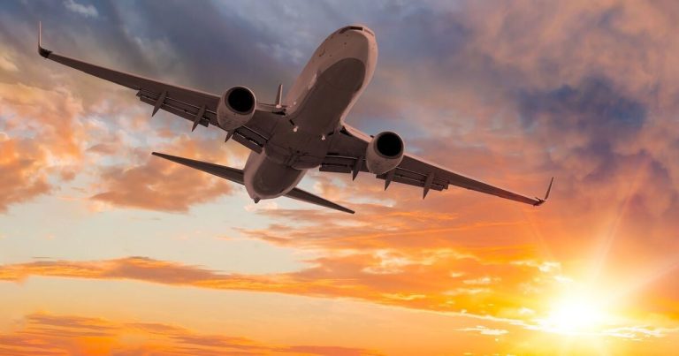 O‘zbekistonda yil boshidan beri samolyotda 5 ta o‘lim qayd etildi