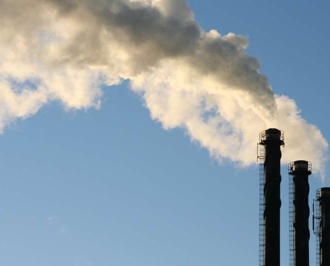 Ekologik xavflilik toifalari 3 toifaga qisqartirildi