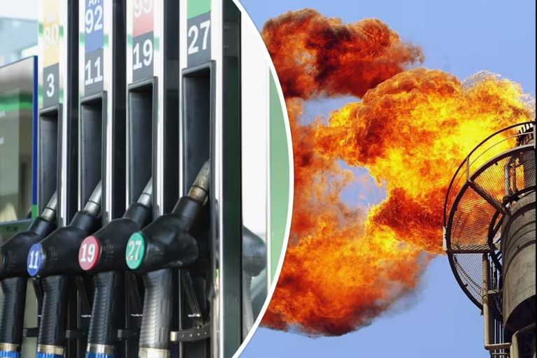 O‘zbekistonda gaz va benzin ishlab chiqarish hajmi kamaydi