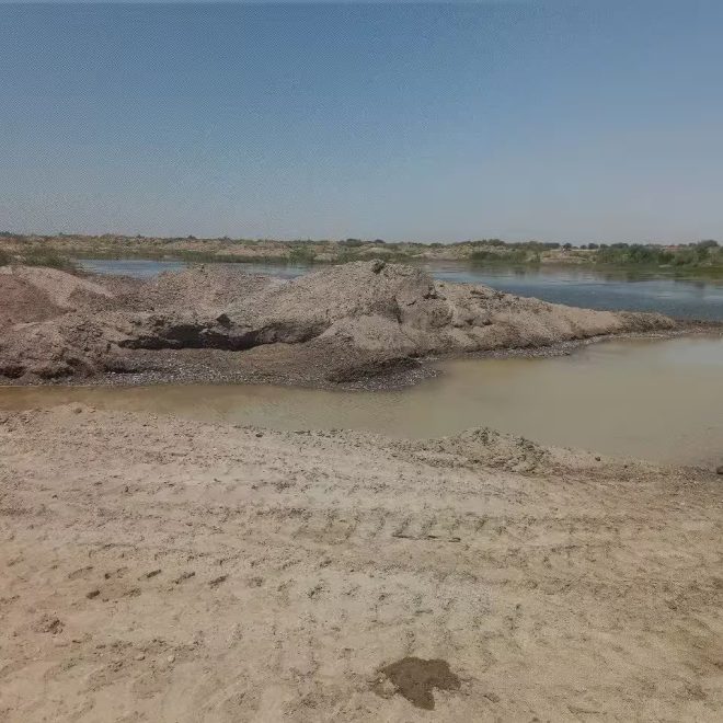 Bekobodda ikki fuqaro tabiatga qariyb 17 mlrd so‘m zarar yetkazdi