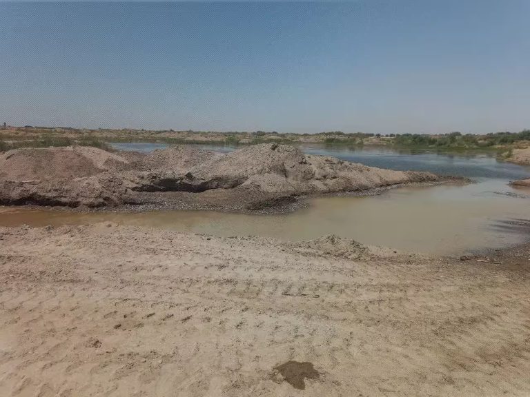 Bekobodda ikki fuqaro tabiatga qariyb 17 mlrd so‘m zarar yetkazdi