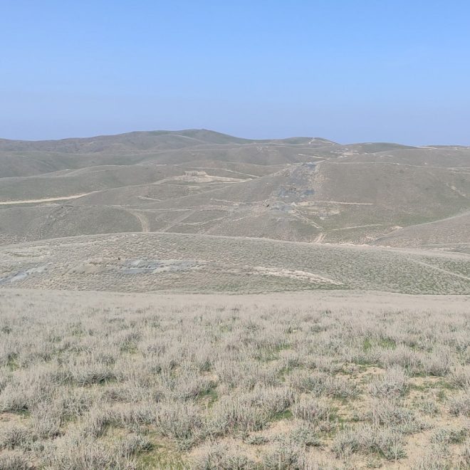 Navoiydagi «Temirchi» oltin koni 5,4 mln dollarga sotildi