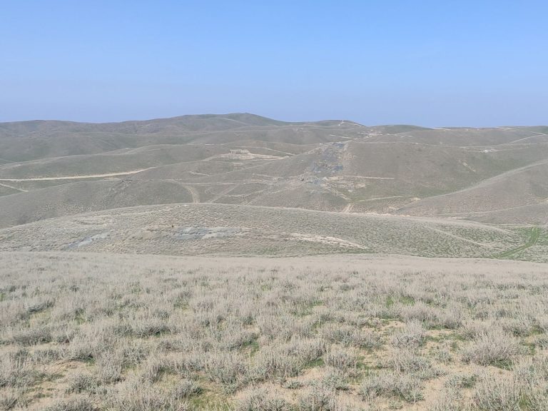 Navoiydagi «Temirchi» oltin koni 5,4 mln dollarga sotildi