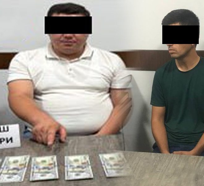 DXX Jizzaxda firibgarlik bilan bog‘liq noqonuniy holatni aniqladi