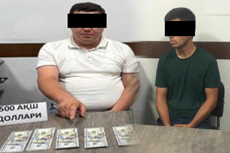 DXX Jizzaxda firibgarlik bilan bog‘liq noqonuniy holatni aniqladi