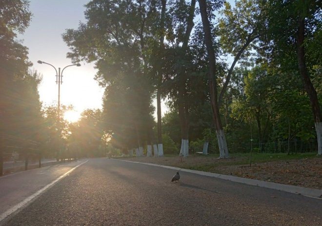 O‘zbekistonda 27-avgust kuni necha daraja issiq bo‘lishi ma’lum qilindi