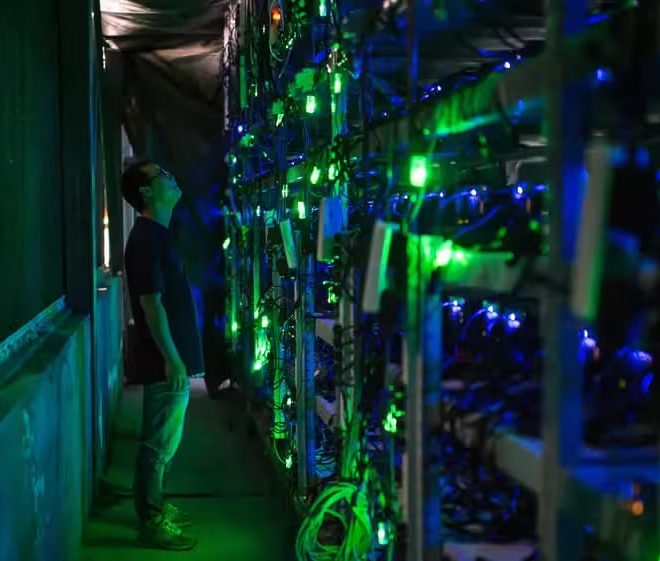 Qoraqalpog‘istonda mayning uchun maxsus zona tashkil etilishi kutilmoqda