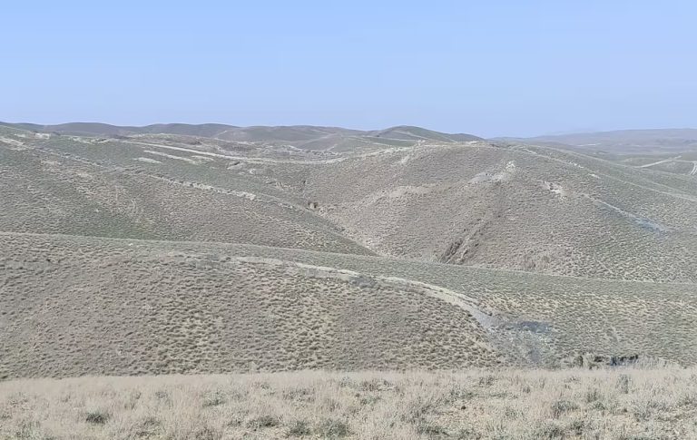 Navoiyda bir haftada uchta oltin koni sotib yuborildi