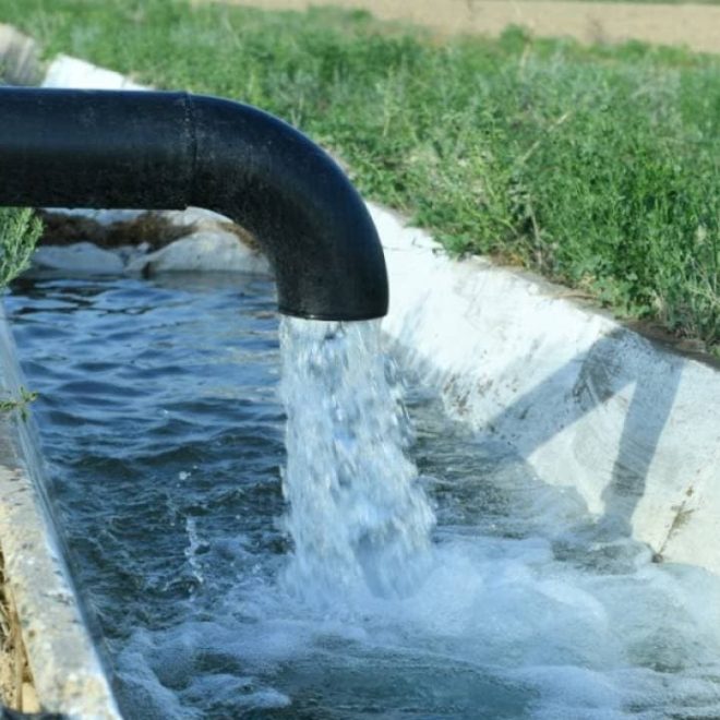 Toshkentda mikroiqlimni yaxshilash bo‘yicha yirik loyihalar boshlanadi