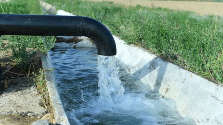 Toshkentda mikroiqlimni yaxshilash bo‘yicha yirik loyihalar boshlanadi