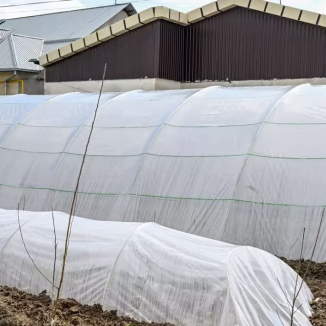 Issiqxona xo‘jaliklari uchun ijtimoiy soliq stavkasi 1 foiz etib belgilandi