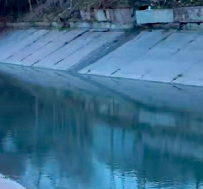 Sirdaryoda avtomobil kanalga tushib ketdi: 4 yo‘lovchi halok bo‘ldi, haydovchi omon qoldi