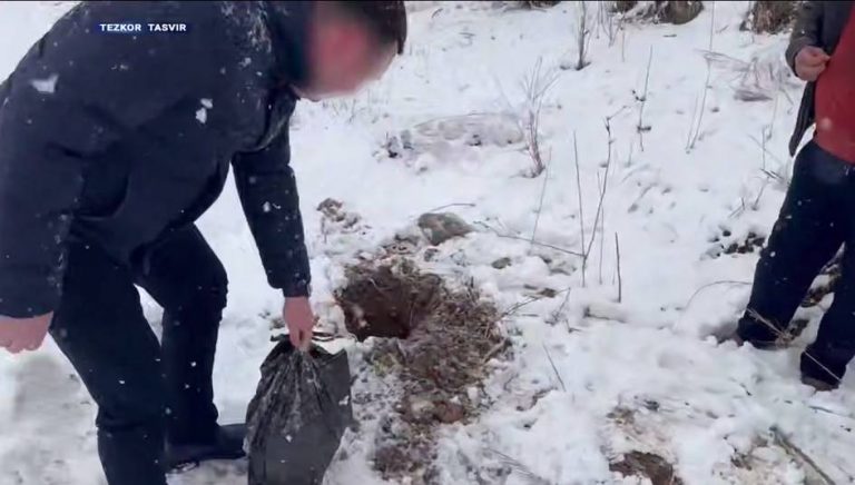 Ikki hududda yirik miqdordagi giyohvand moddalar musodara qilindi — gumonlanuvchilar qo‘lga olindi