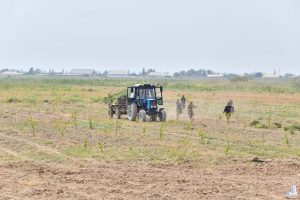 O‘zbekistonda har bir hududda agroxizmat zonalari tashkil etiladi