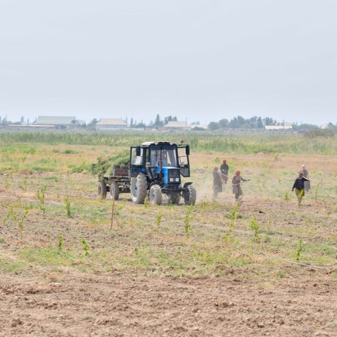 O‘zbekistonda har bir hududda agroxizmat zonalari tashkil etiladi