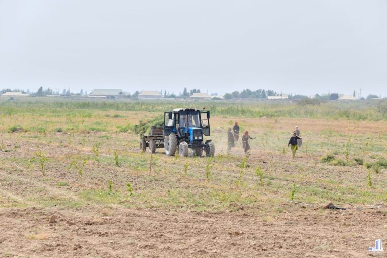 O‘zbekistonda har bir hududda agroxizmat zonalari tashkil etiladi