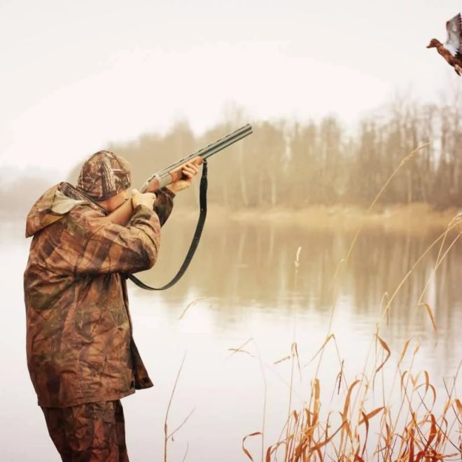 O‘zbekistonda ovchilik guvohnomasini olish uchun maxsus o‘quv kursini o‘qish talab etilishi mumkin