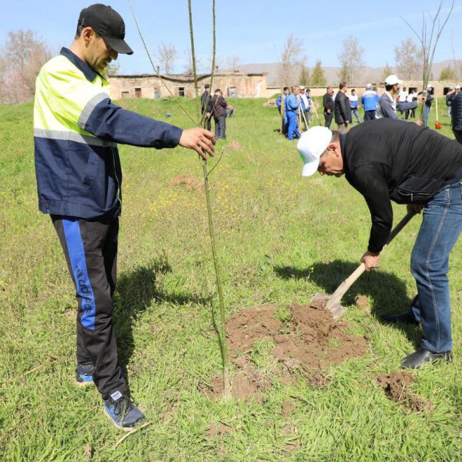 “Yashil makon”da faol bo‘lganlar rag‘batlantiriladi: yangi maqom va mukofotlar joriy etildi